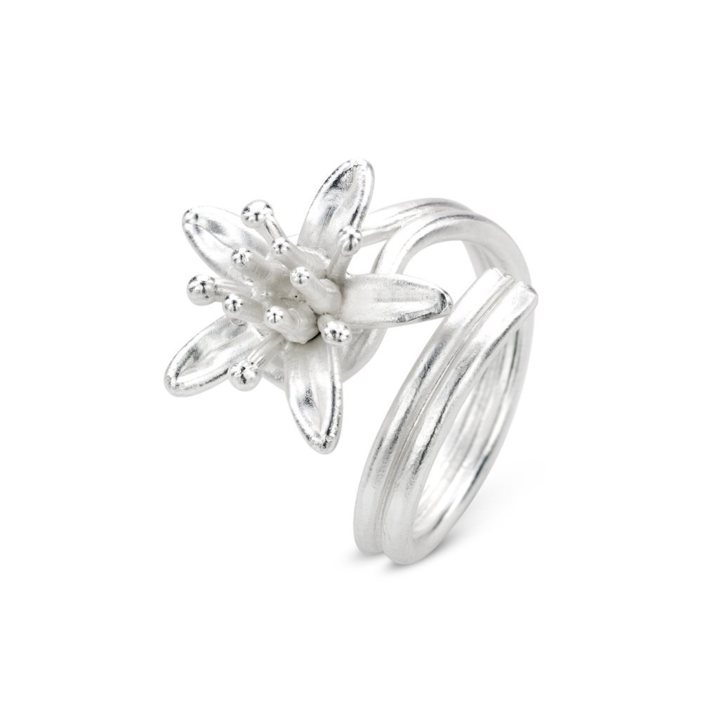 Phillis Money tree Ring statement,  Sterling silver  