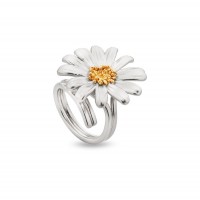Aigli Daisy Ring statement,  24K Gold and sterling silver  