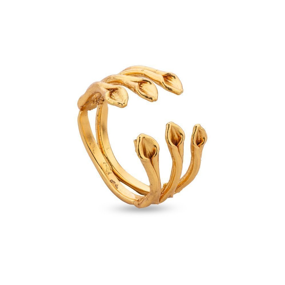Heliostalida Ring geometric,  24K Gold vermeil on sterling silver  