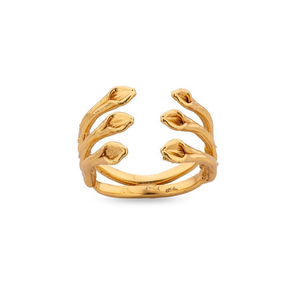 Heliostalida Ring geometric,  24K Gold vermeil on sterling silver  