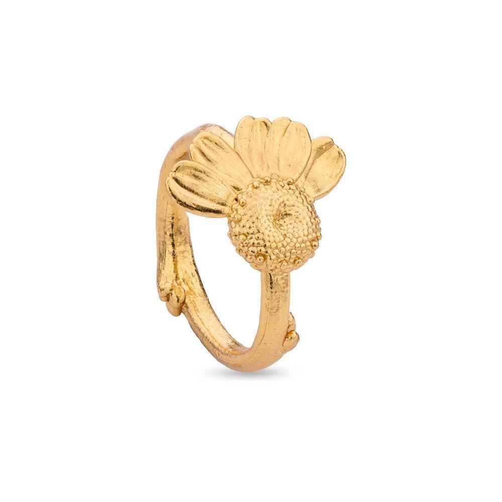 Kissing daisies Daisy Ring  with narrow twig base, 24K Gold vermeil on sterling silver  