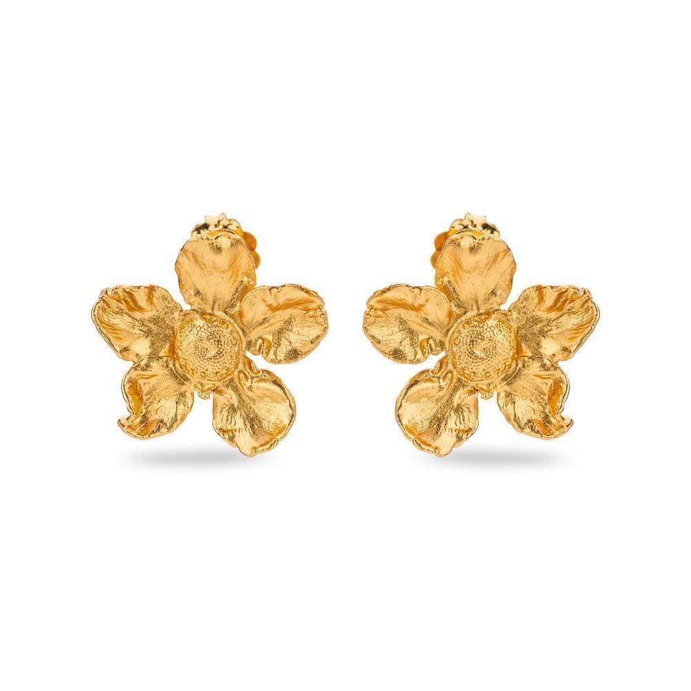 Earrings   24K Gold vermeil on sterling silver  