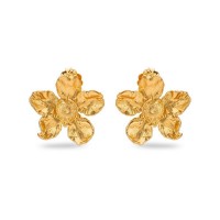 Earrings   24K Gold vermeil on sterling silver  