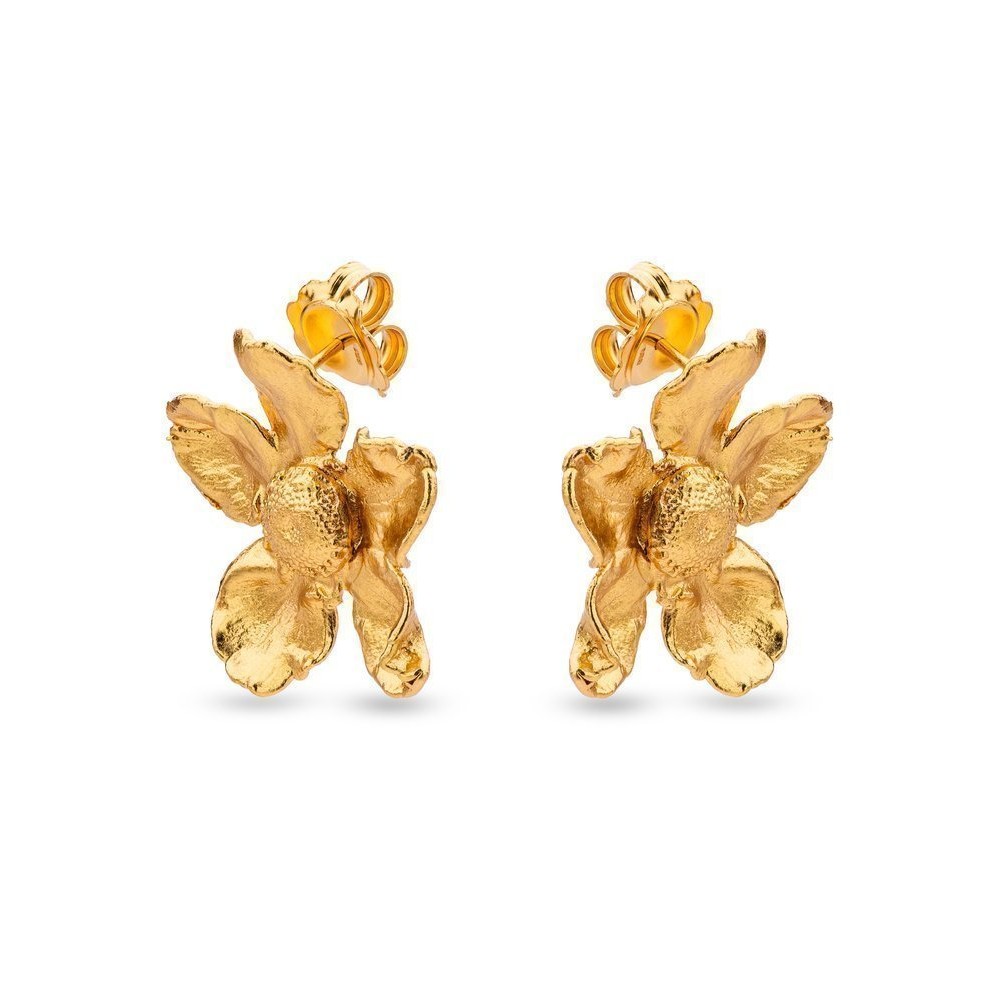 Earrings   24K Gold vermeil on sterling silver  