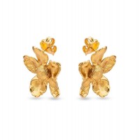 Earrings   24K Gold vermeil on sterling silver  