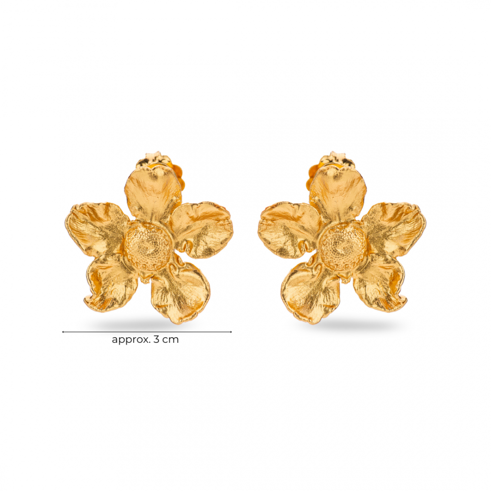 Earrings   24K Gold vermeil on sterling silver  