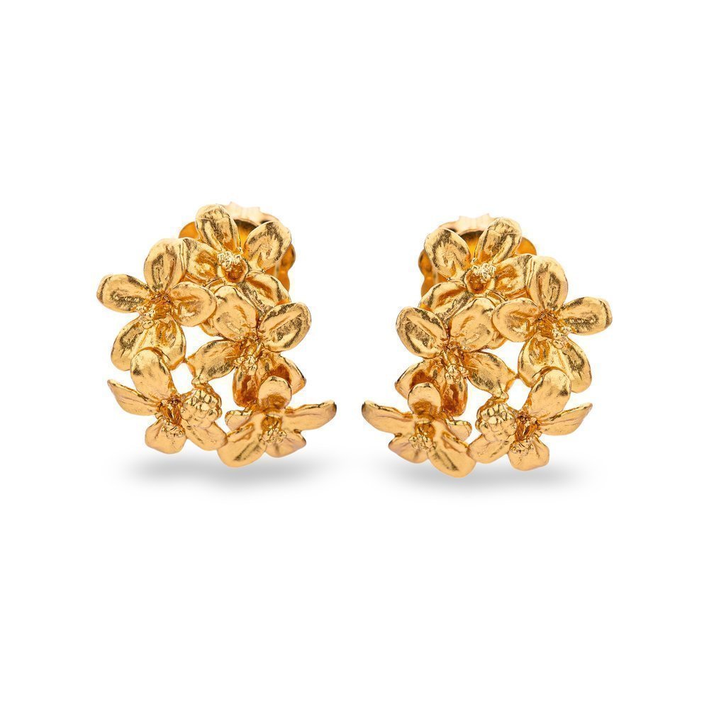 Earrings   24K Gold vermeil on sterling silver  
