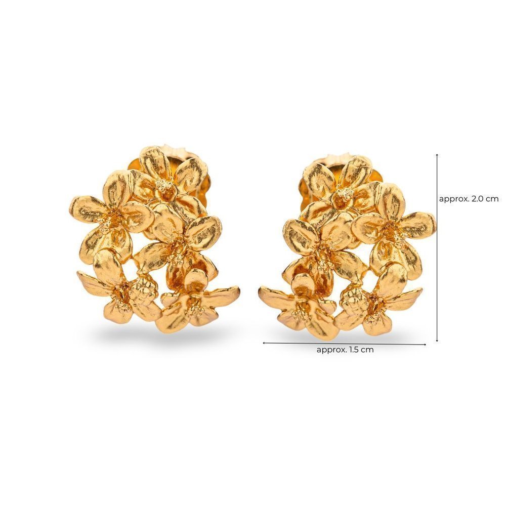 Earrings   24K Gold vermeil on sterling silver  