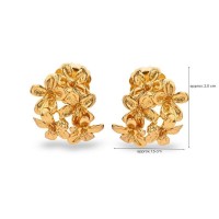 Earrings   24K Gold vermeil on sterling silver  